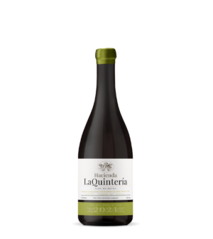 HQ Palomino Bota Francesa