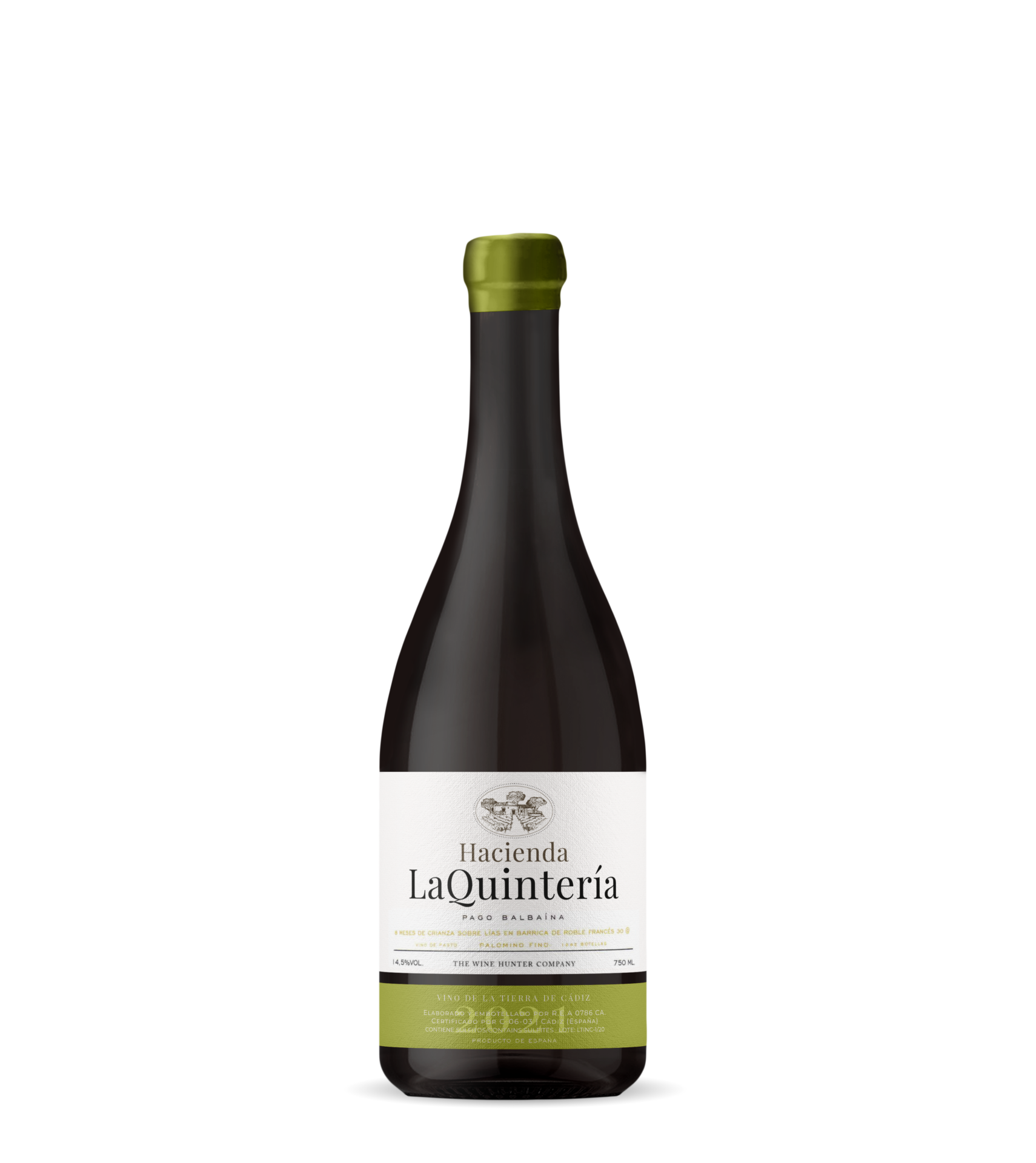 HQ Palomino Bota Francesa