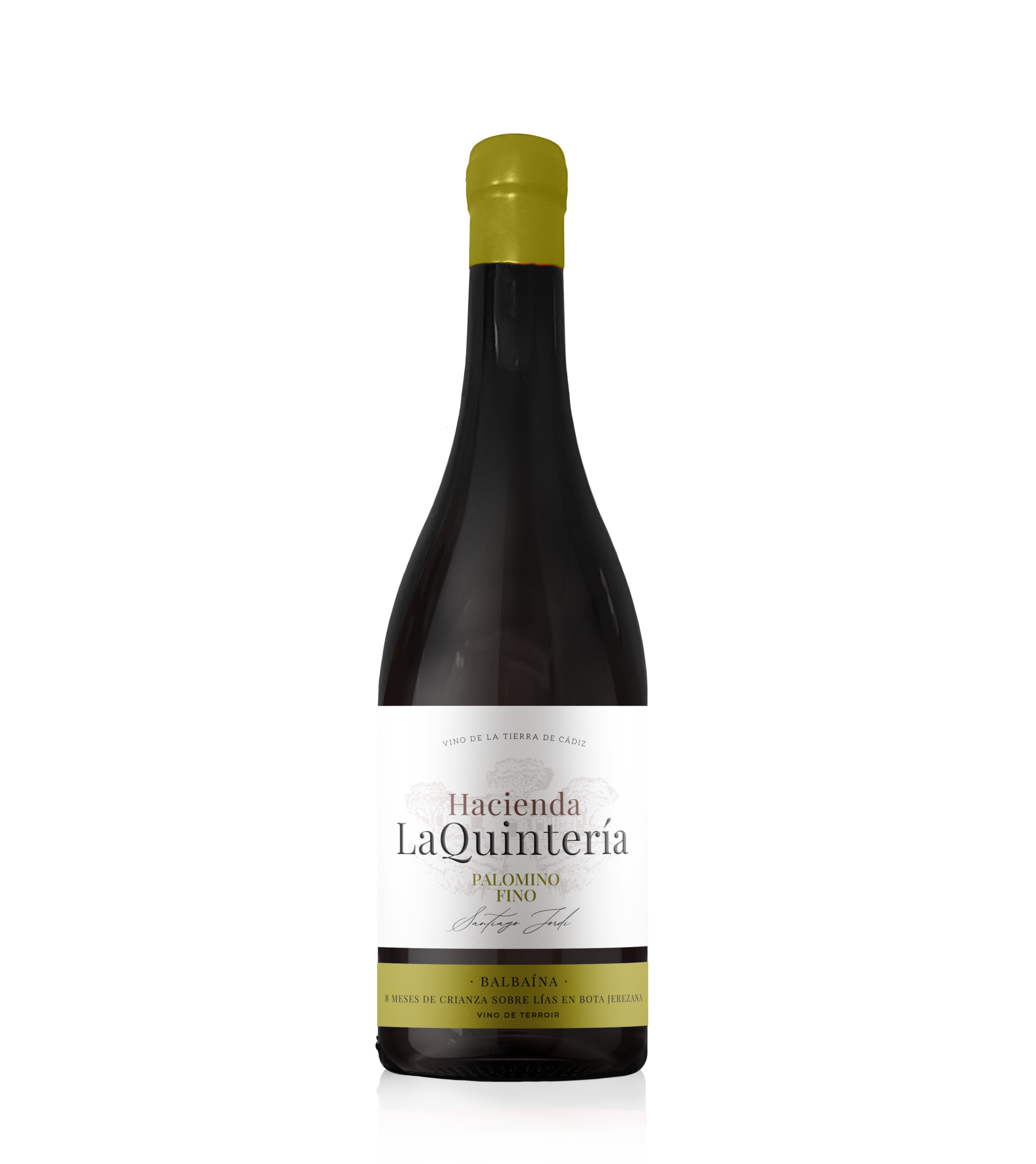 HQ Palomino Bota Jerezana