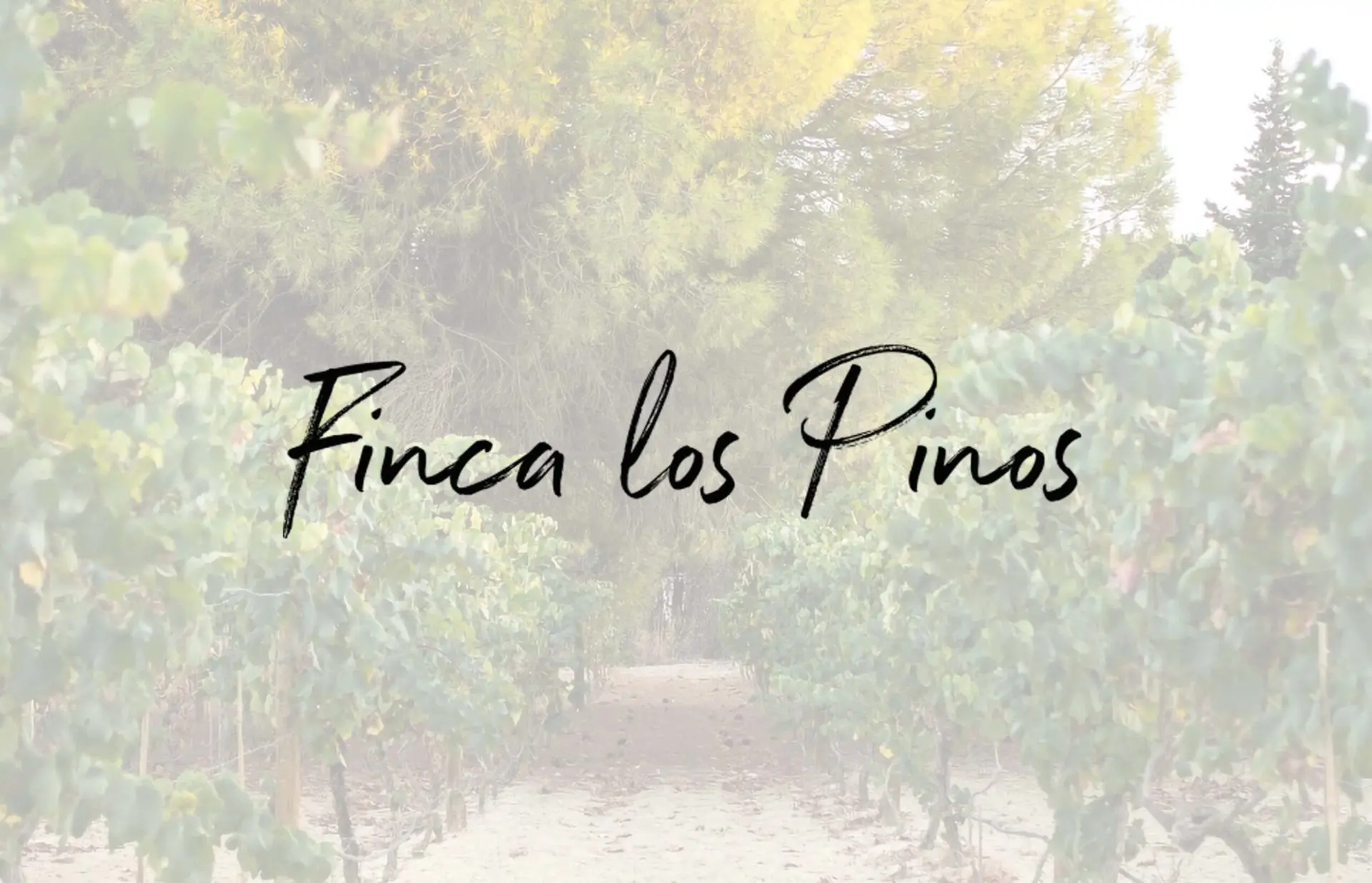 Finca Lo Pinos - Tintilla de Rota 2023 - Imagen 2